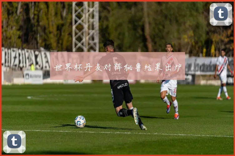 世界杯丹麦对阵秘鲁结果出炉