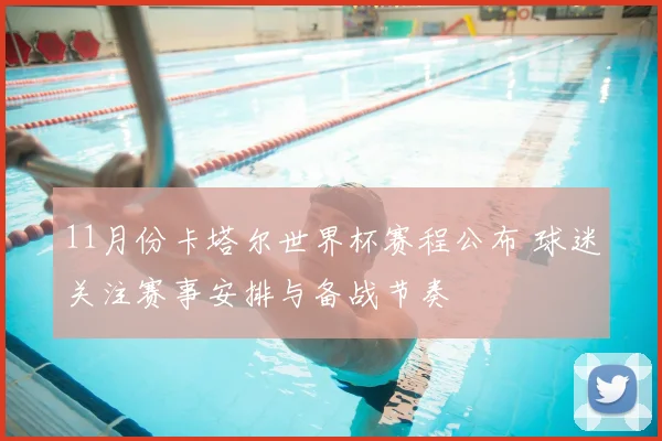 11月份卡塔尔世界杯赛程公布 球迷关注赛事安排与备战节奏